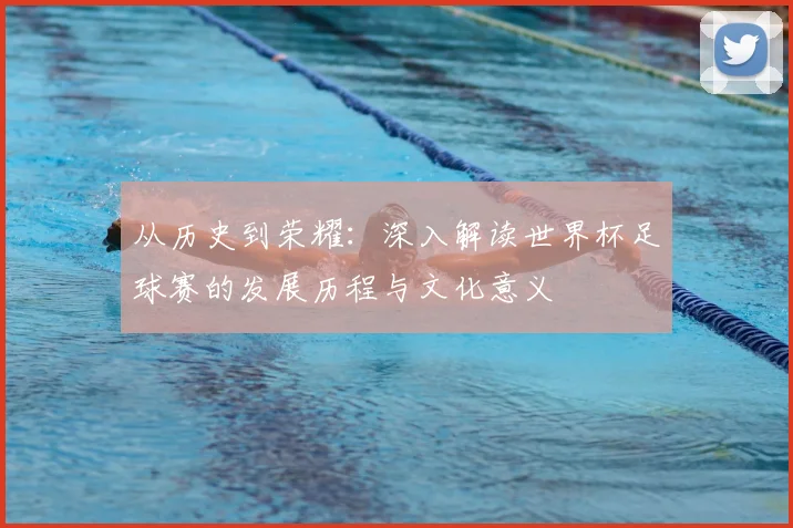 从历史到荣耀:深入解读世界杯足球赛的发展历程与文化意义