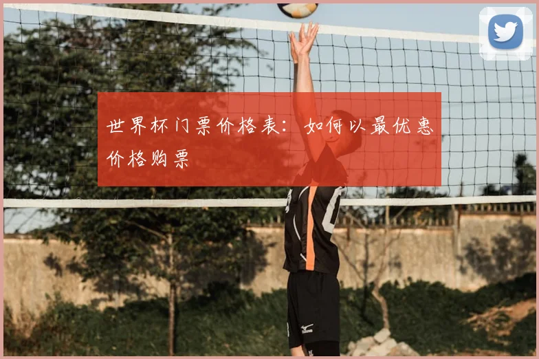 世界杯门票价格表：如何以最优惠价格购票