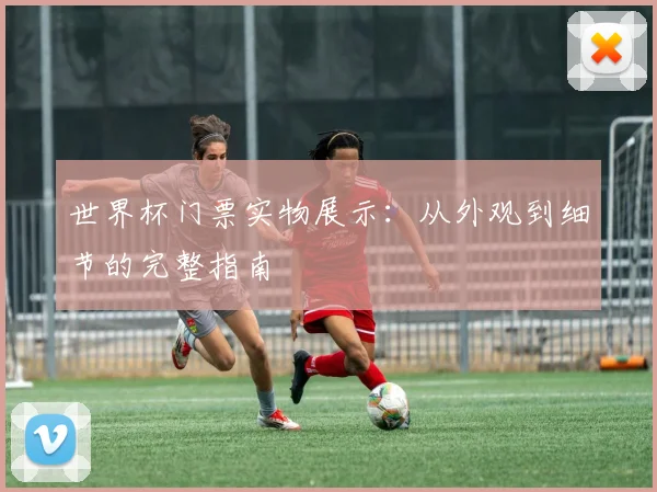 世界杯门票实物展示：从外观到细节的完整指南